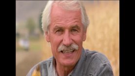 Hiện đại hóa nông nghiệp – Câu chuyện nhiên liệu xanh