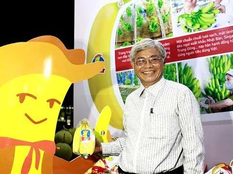 Làm VietGap chuối FOHLA vẫn xuất khẩu sang Nhật Bản, Hàn Quốc I BSA